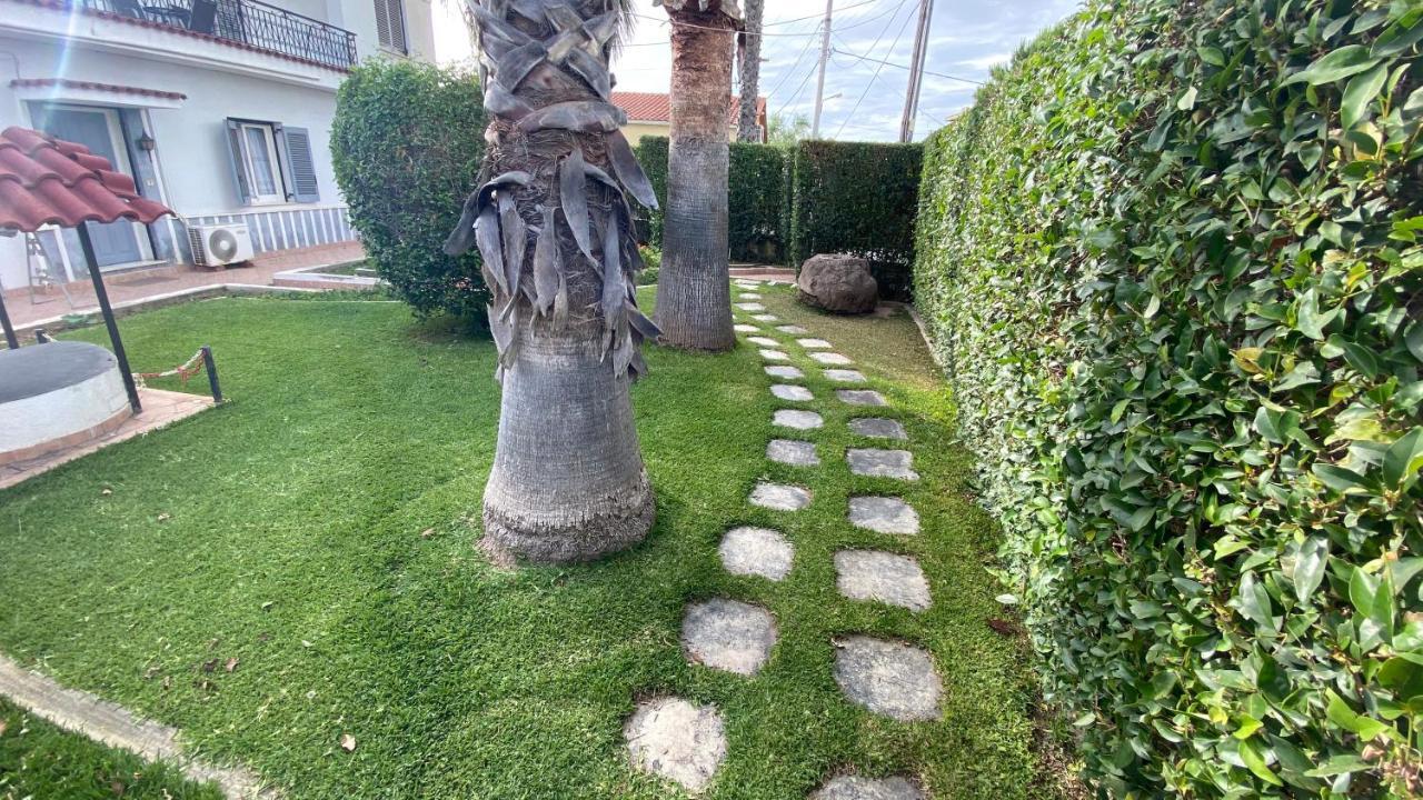 Patras Palm Tree Daire Dış mekan fotoğraf