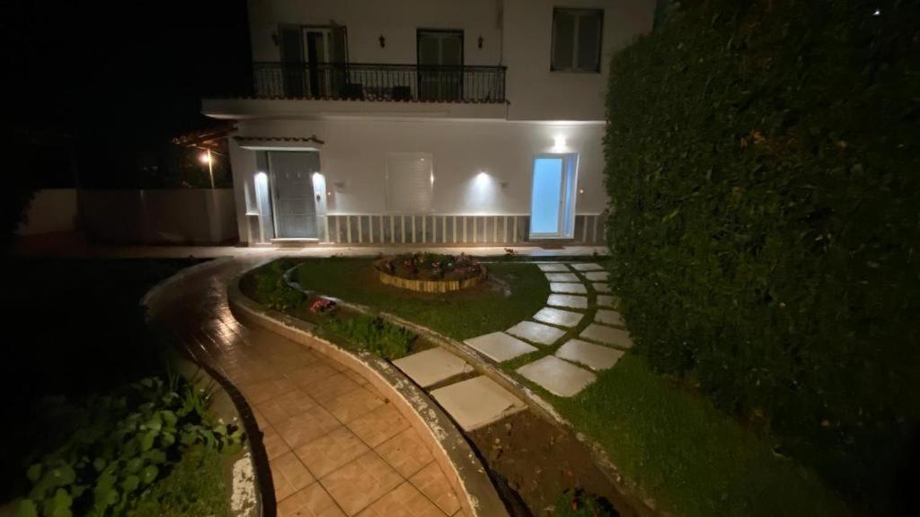 Patras Palm Tree Daire Dış mekan fotoğraf