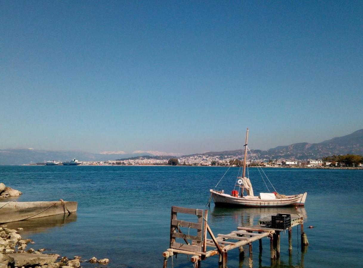 Patras Palm Tree Daire Dış mekan fotoğraf