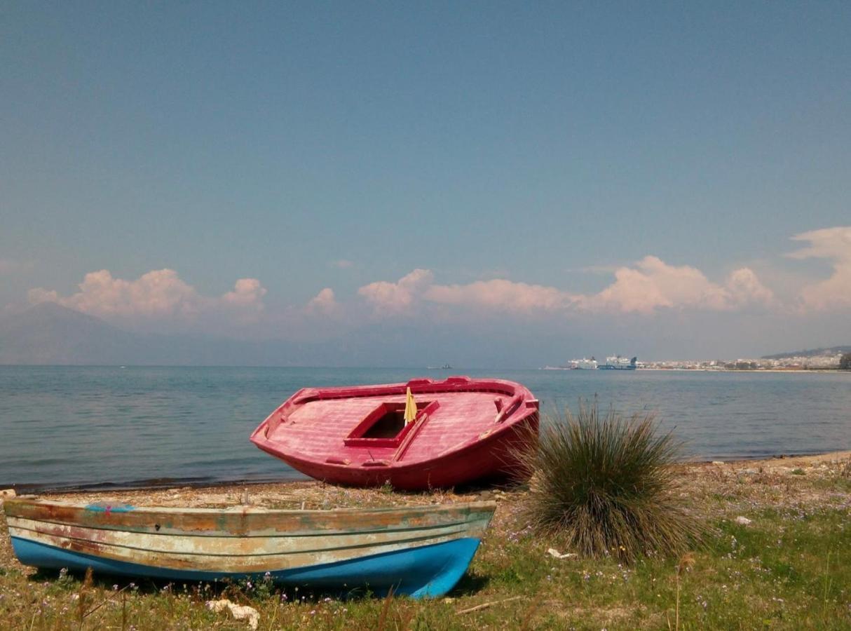 Patras Palm Tree Daire Dış mekan fotoğraf