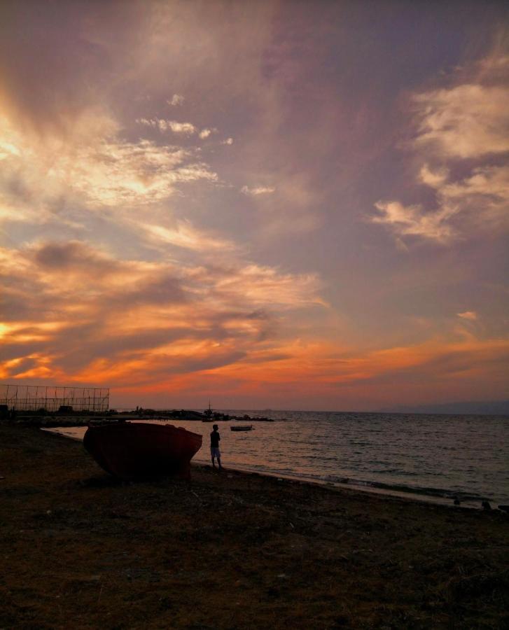 Patras Palm Tree Daire Dış mekan fotoğraf