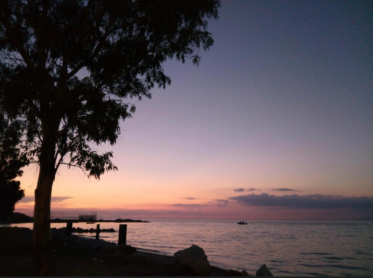 Patras Palm Tree Daire Dış mekan fotoğraf