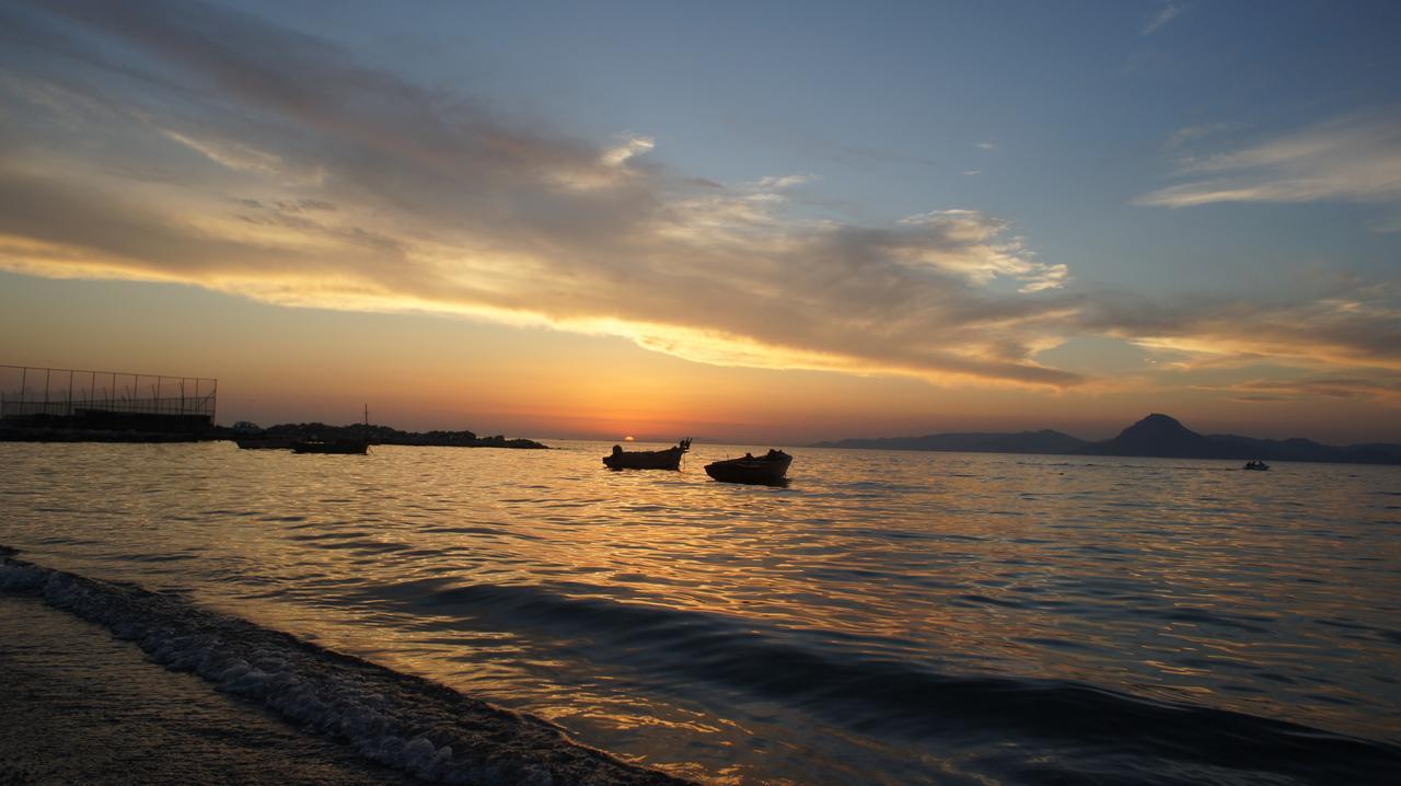 Patras Palm Tree Daire Dış mekan fotoğraf