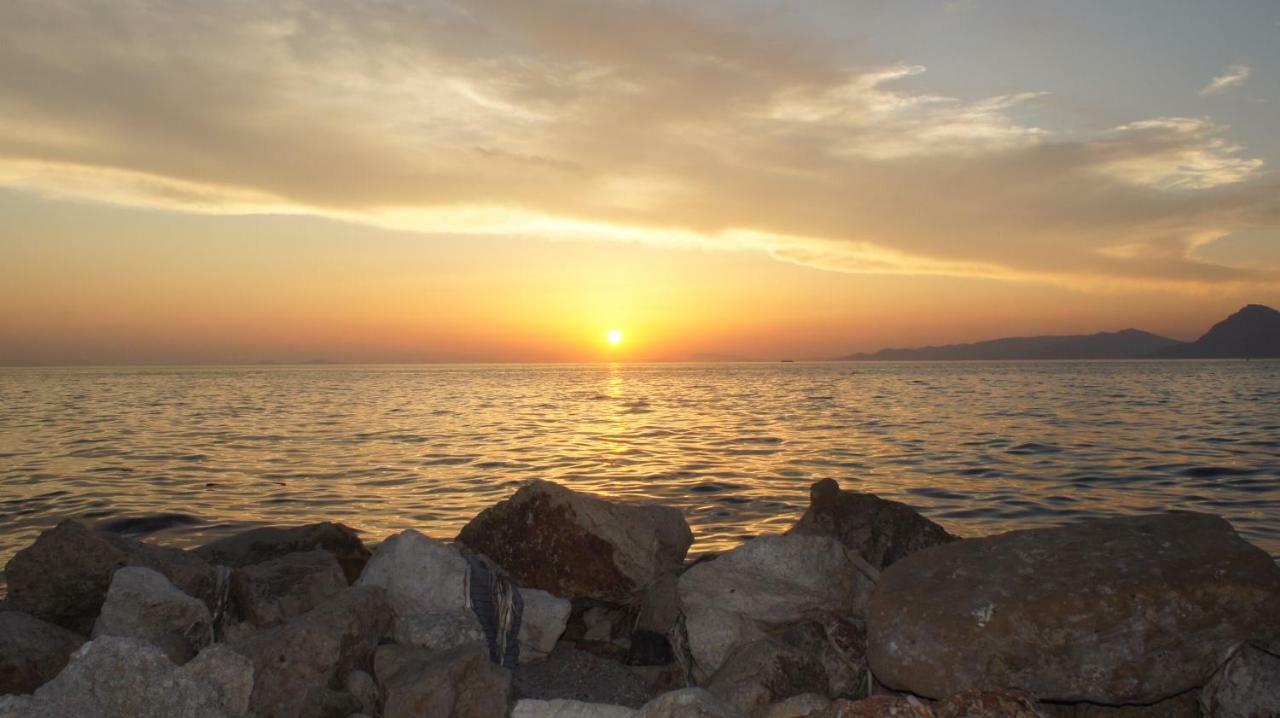 Patras Palm Tree Daire Dış mekan fotoğraf